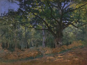 Le Chêne de Bodmer, Forêt de Fontainebleau