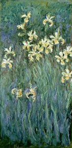 Les iris jaunes - Claude Monet