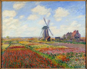 Champs de tulipes en Hollande (avec un moulin)