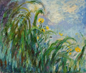 Iris jaunes, vers 1925 - Claude Monet