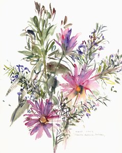 Fleurs, marguerites sud-africaines et lavande, 2004