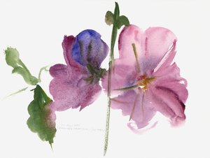 Rose trémière, 1988 - Claudia Hutchins Puechavy