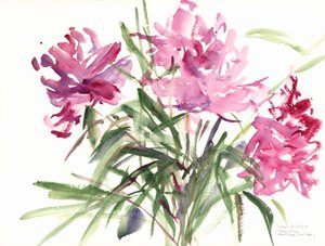 Pivoines, 2004 - Claudia Hutchins Puechavy