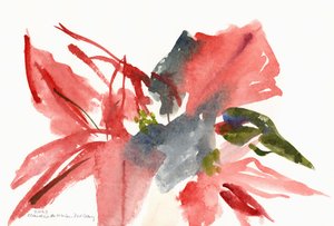 Poinsettia, 2003 - Claudia Hutchins Puechavy