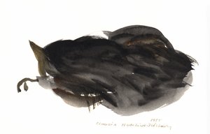 Chat endormi, 1985