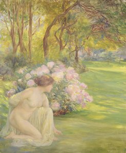 Flore