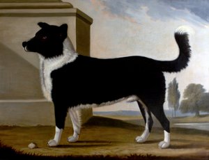 Le chien de Lord Byron, Boatswain (Le Terre-Neuve), 1808 - Clifton Tomson