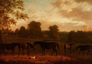 Juments et Poulains - Clifton Tomson