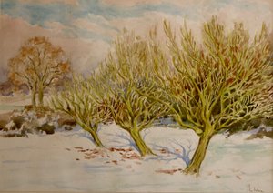 Le verger, soleil de janvier, 2000 (aquarelle) - Clive Wilson