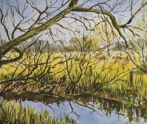Water Meadows, Kintbury, début de l