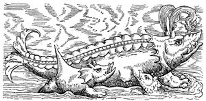 Baleine allaitante et cochon de mer - Conrad (after) Gesner