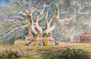 Arbre sacré Bo au lieu de sépulture des reines de Kandy - Constance Frederica Gordon Cumming
