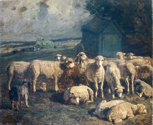 Troupeau de moutons