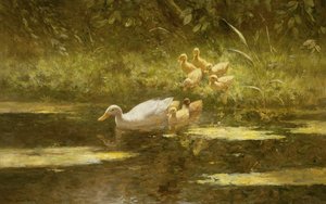 Canard avec canetons sur la berge