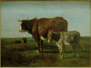 Vache avec âne
