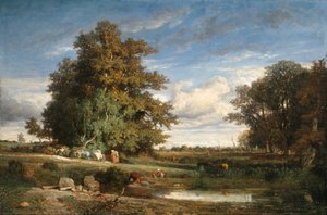 Le marais - Constant Troyon