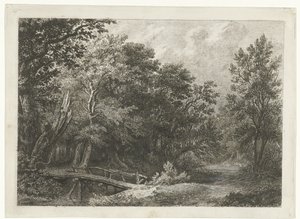 Vue de forêt avec un pont en bois