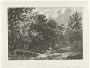 Paysage forestier avec pont en bois