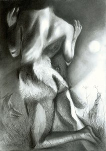 La métamorphose du blaireau au clair de lune - Corné Akkers