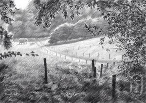Sentier paisible à la campagne - Corné Akkers