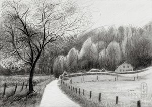Chemin de campagne sinueux