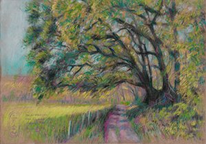Chemin de campagne sinueux