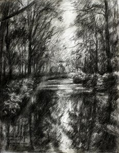 Sentier forestier sinueux - Corné Akkers