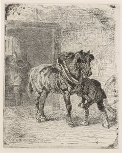 Cheval ferré dans une forge