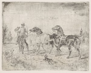 Cavaliers avec chevaux