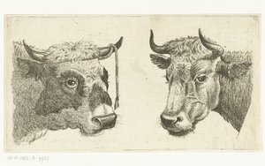 Tête de taureau avec corde à la corne et tête de vache - Cornelis  Bisschop