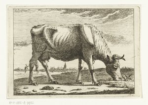 Paysage avec vache paissant (Vaches) - Cornelis  Bisschop