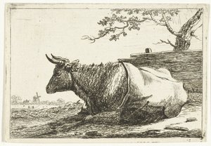 Paysage avec vache couchée avec couverture sur le dos