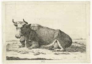 Paysage avec vache couchée avec des cornes