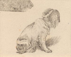 Chien assis - Cornelis Brouwer