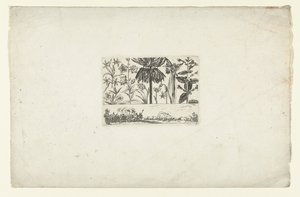 Rangée de fleurs au-dessus d