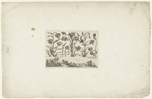 Rangée de fleurs au-dessus d