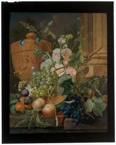 Nature morte de fruits et de fleurs avec une urne en terre cuite sur un rebord