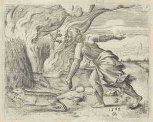 Samson met le feu aux champs de blé des Philistins (Geschiedenis van Simson)