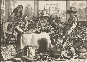 Botaniste - Cornelis Ploos van Amstel (signed by artist)
