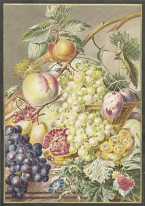 Nature morte avec fruits