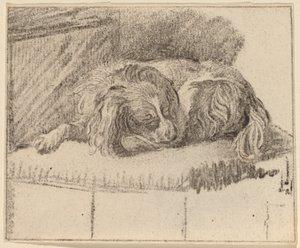 Chien couché - Cornelis Ploos van Amstel