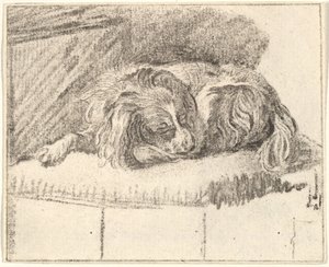 Chien endormi, 1777