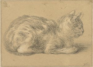 Chat assis, vers la droite