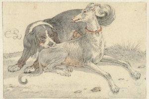 Lévrier et chien de perdrix - Cornelis Saftleven