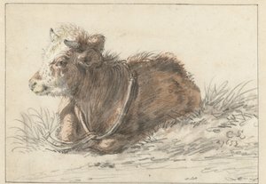 Veau couché, vers la gauche