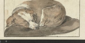 Chien dormant