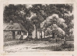 Maison entre les arbres