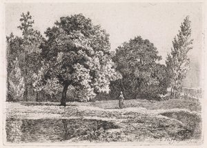 Paysage avec arbres, lac et femme (Cinquième suite) - Cornelis Steffelaar