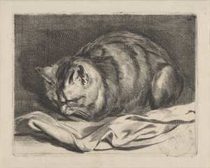 Petit chat - Cornelis Visscher (II)