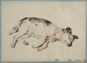  - Cornelis Visscher